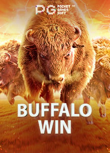 เกมไพ่ฟรี ไม่ต้อง โหลด มาเล่นกันเถอะ!